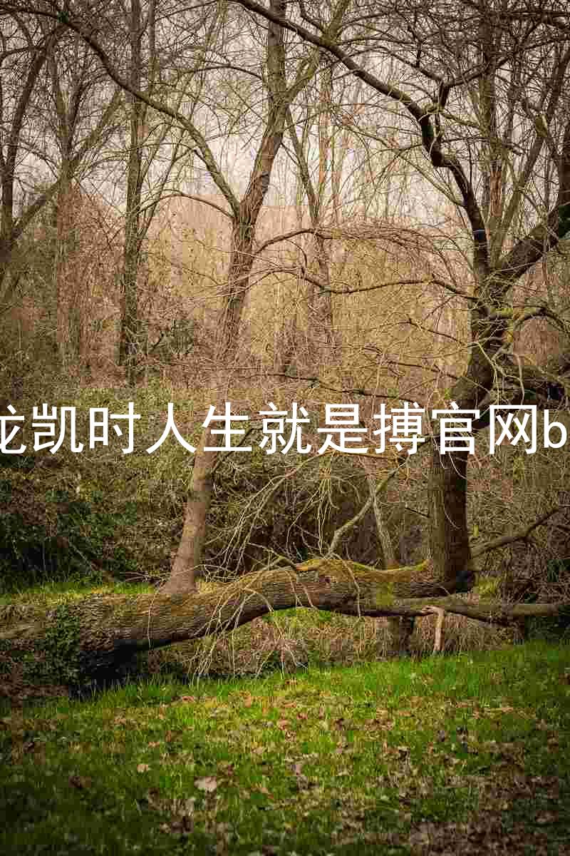 尊龙凯时人生就是搏官网bjl8