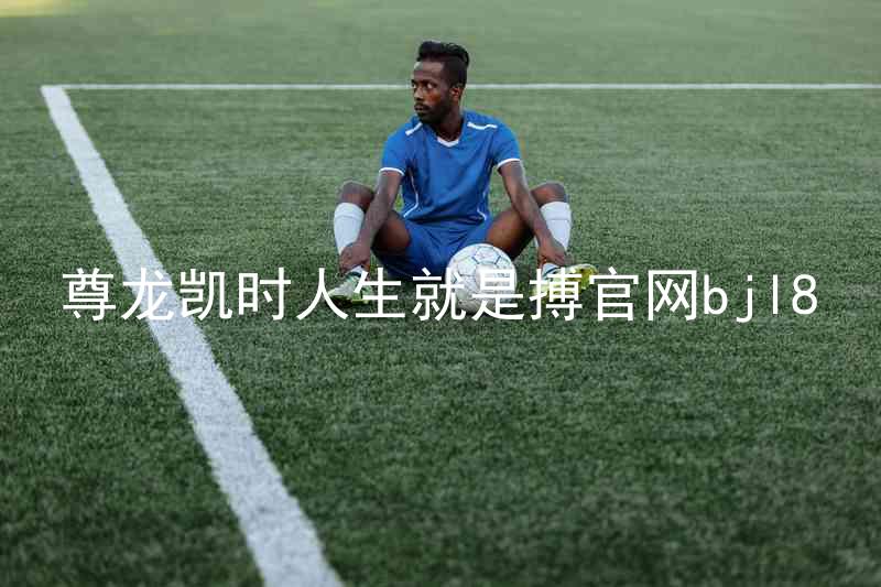 尊龙凯时人生就是搏官网bjl8
